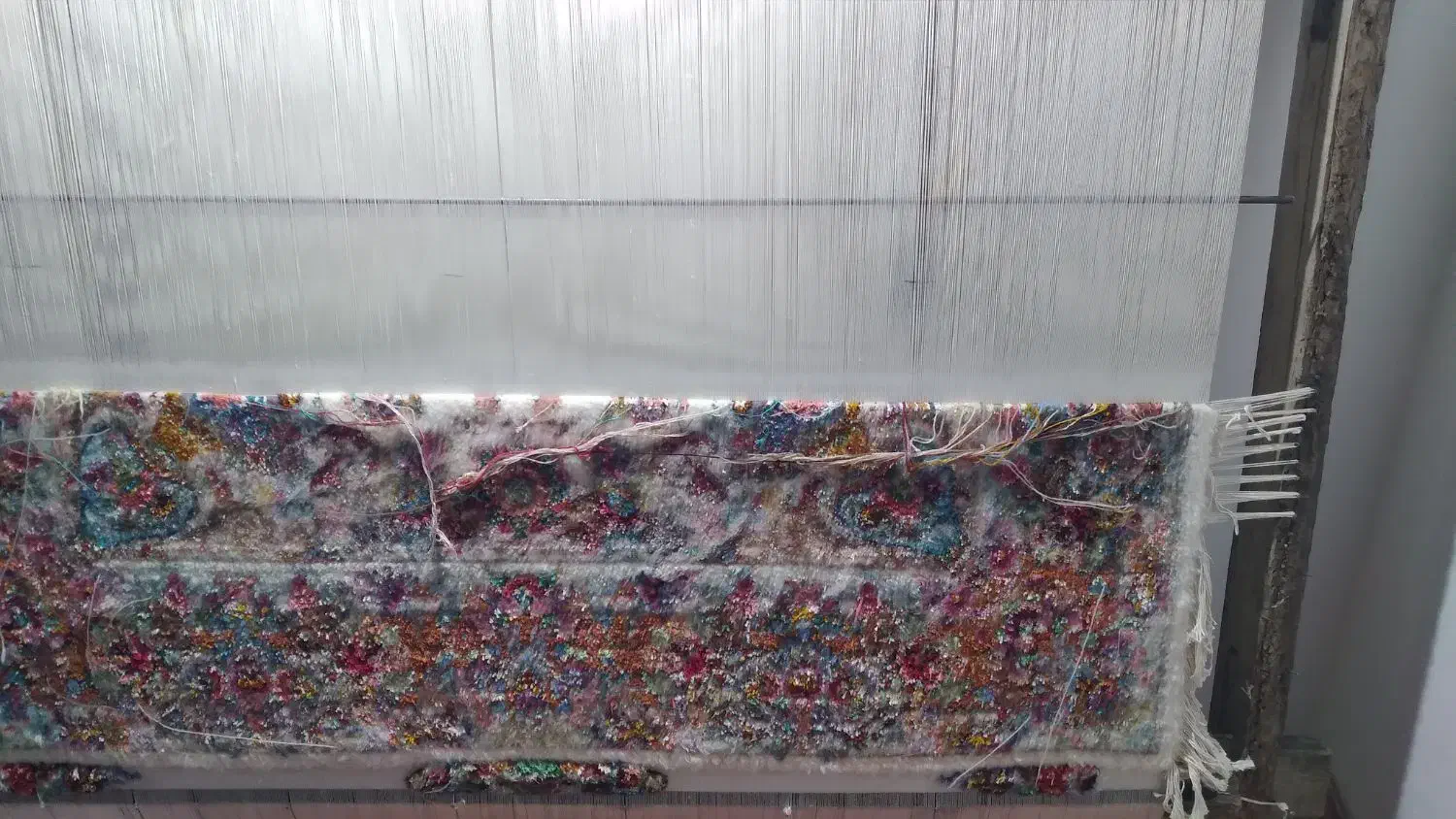 فرش دست بافت|فرش|تبریز, |دیوار