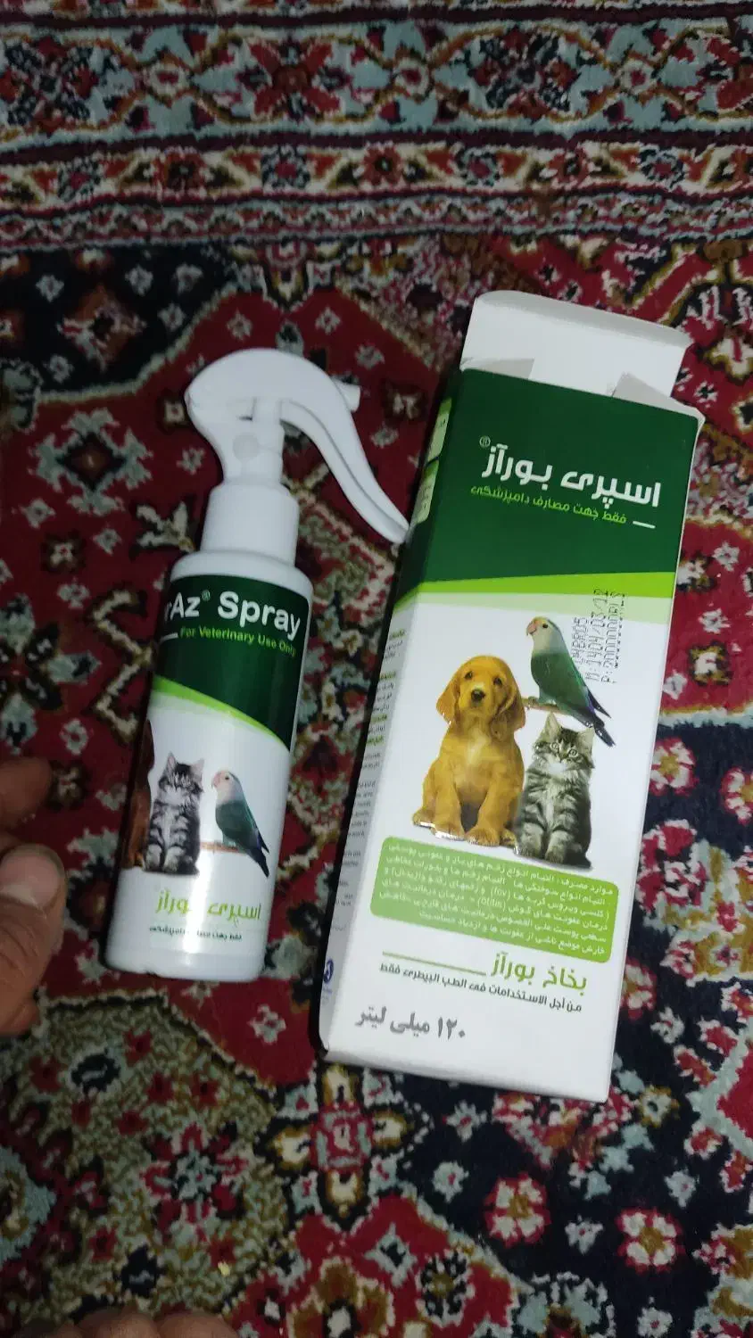 واگذاری سگ پاکوتاه|سگ|خفر, |دیوار