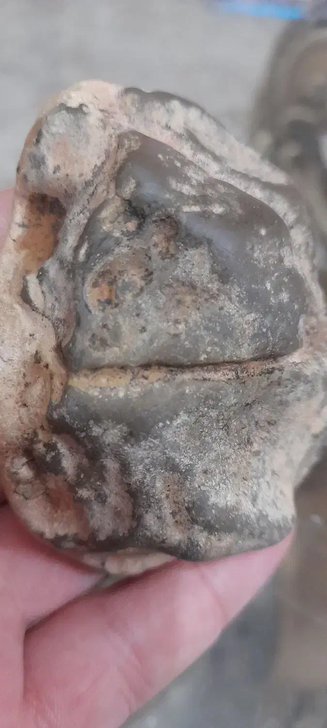 چند تا سنگ زینتی و شهاب|کلکسیون اشیاء عتیقه|ماهدشت, |دیوار