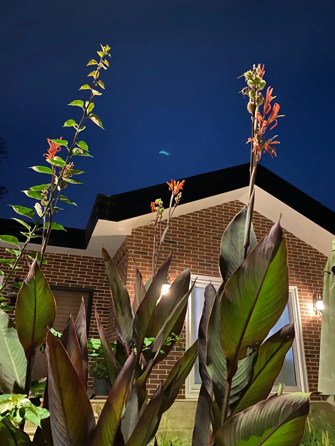 ویلا کلارآباد شهرکی|فروش خانه و ویلا|کلارآباد, |دیوار