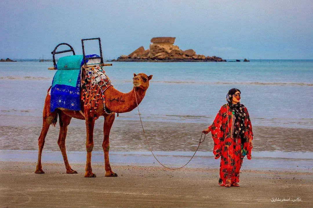 تور قشم هرمز هنگام همه روزه هوایی ریلی|تور و چارتر|تهران, سهروردی|دیوار