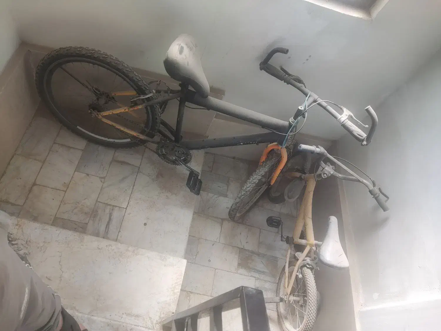 دو عدد دوچرخه|دوچرخه، اسکیت، اسکوتر|قدس, شهر‌قدس|دیوار