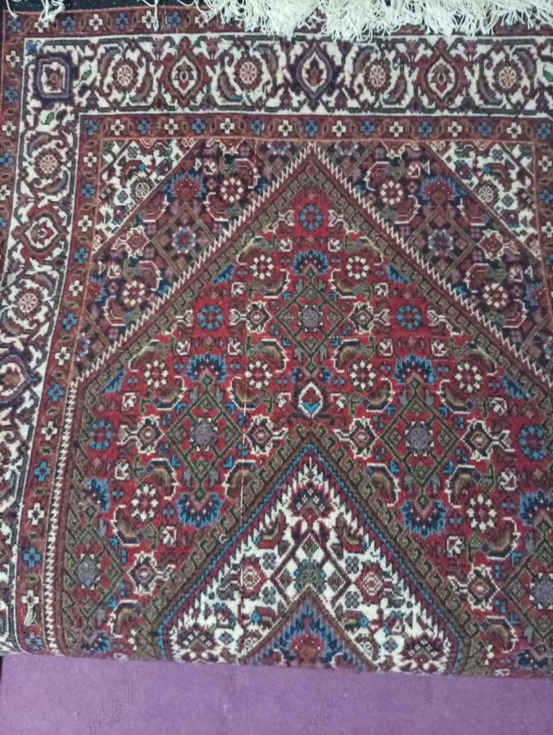 دو عدد فرش دستبافت زرچرک باختر|فرش|ایجرود, |دیوار