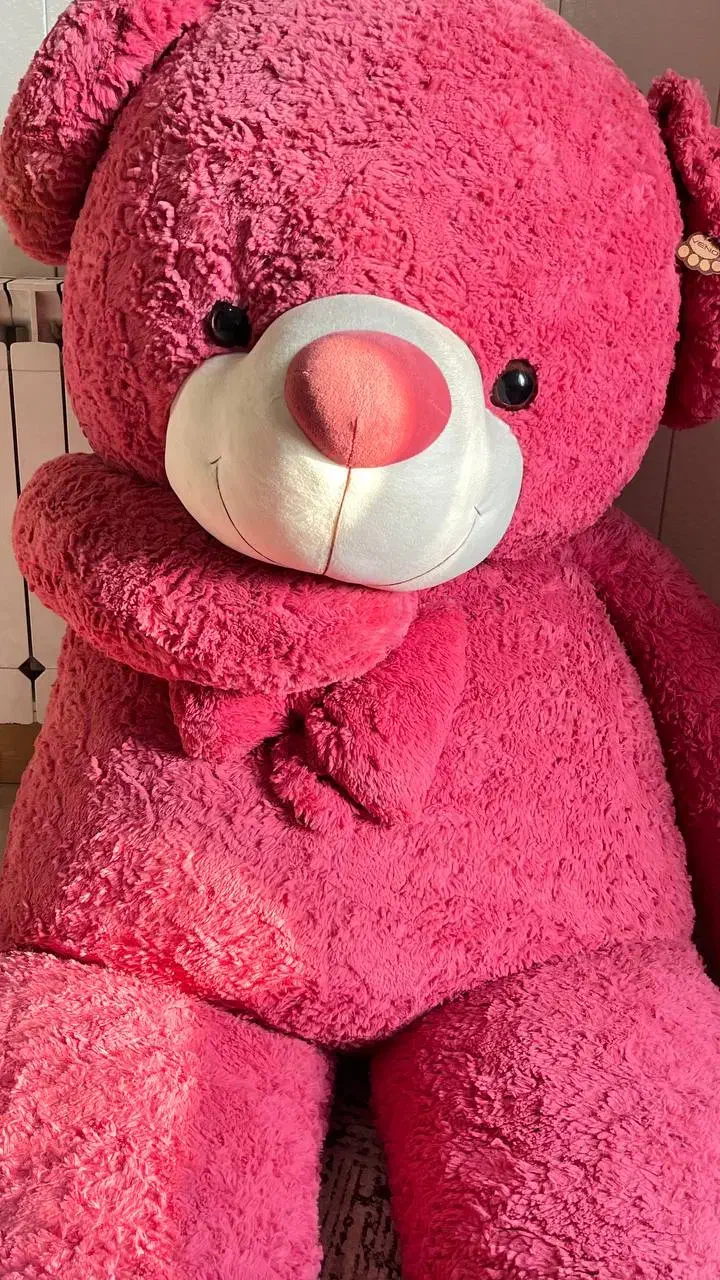 خرس بزرگ ۲ متری|اسباب‌بازی بچه|قزوین, |دیوار