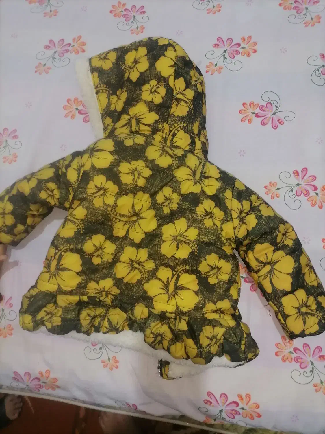 کاپشن نو|لباس|شیراز, شهرک بهار|دیوار