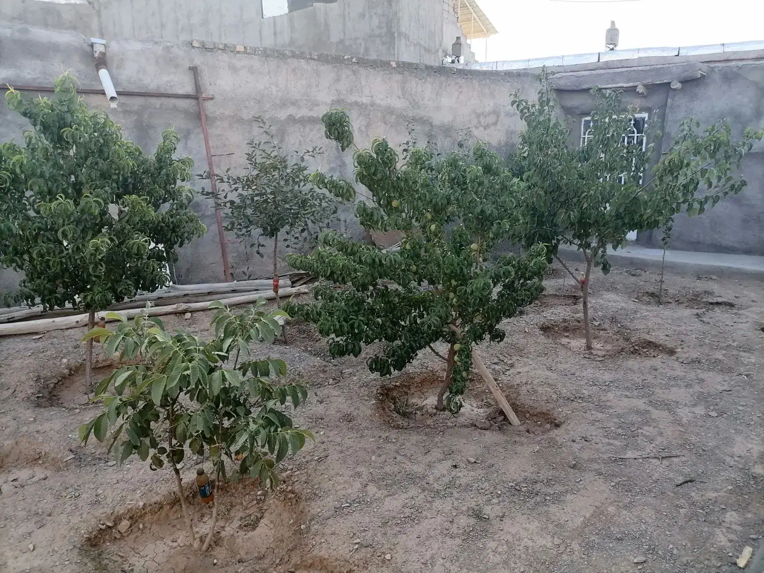 خانه باغ مبله 300 متری|فروش خانه و ویلا|زبرخان, |دیوار