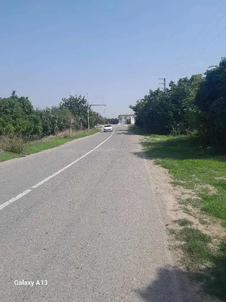 زمین گشاورزی|فروش دفتر صنعتی، کشاورزی، تجاری|کیاکلا, |دیوار