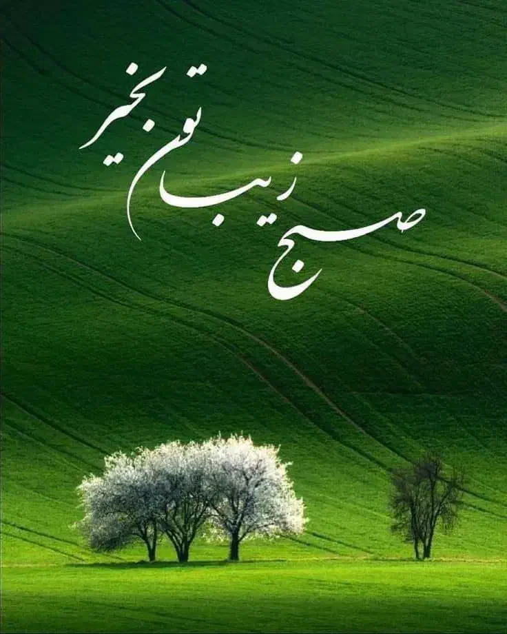 فروش زمین ۱۹۵ متری|فروش زمین و ملک کلنگی|صادق آباد, |دیوار