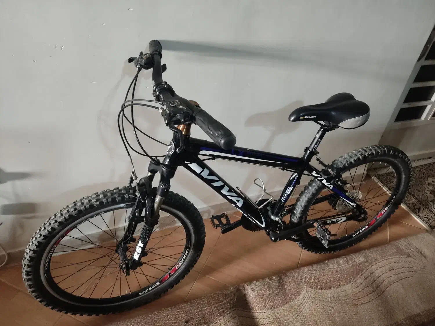 دوچرخه 24 ویوا|دوچرخه، اسکیت، اسکوتر|صدرا-فارس, فاز ۱|دیوار