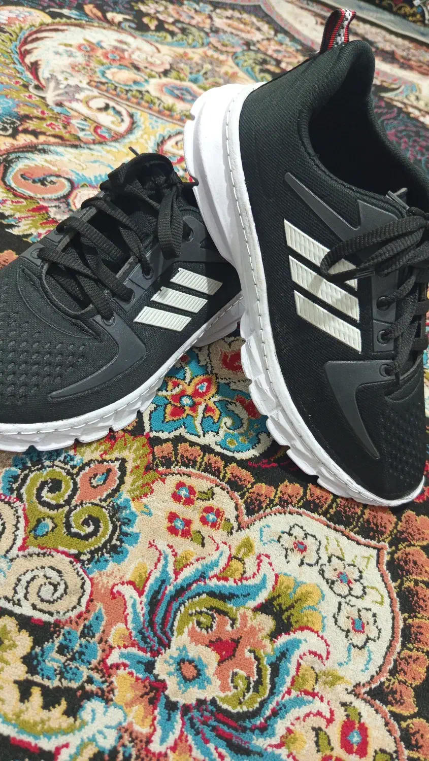 کفش مردانه|کیف، کفش، کمربند|سمنان, |دیوار