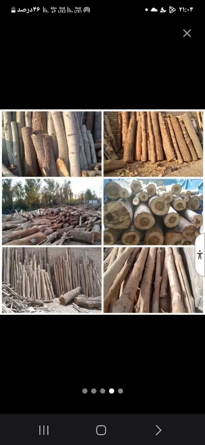 خرید چوب خریدار چوب تخته تنه درخت اره کاری|خدمات باغبانی و درختکاری|مشهد, بهاران|دیوار
