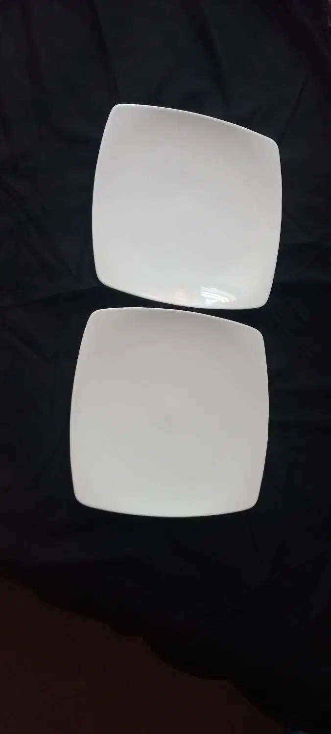 ۲۴ عدد بشقاب برنج خوری چینی نونو|ظروف سرو و پذیرایی|یاسوج, |دیوار