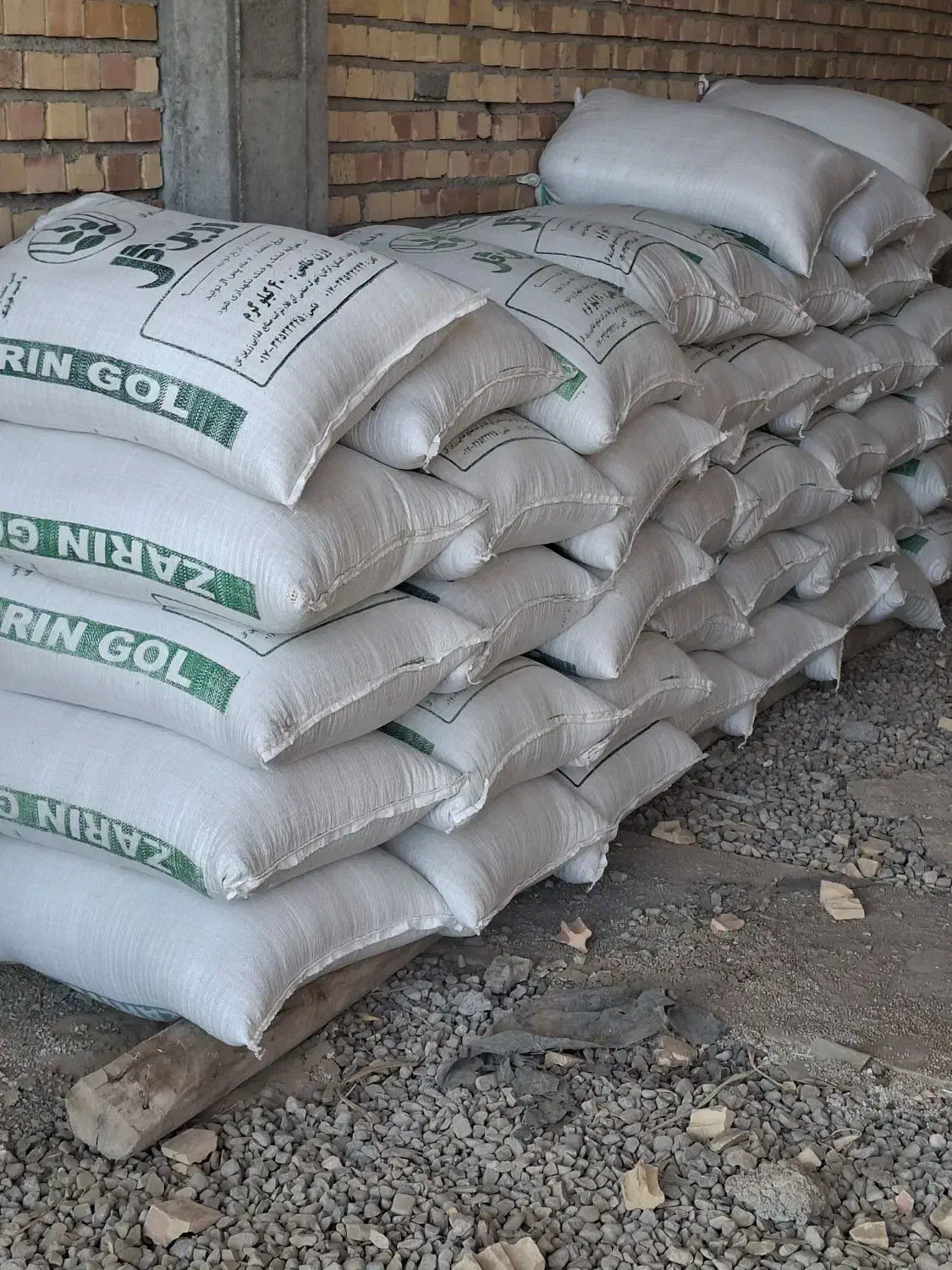 جو بذری قیمت ۳۵۰۰۰|خدمات باغبانی و درختکاری|انبارآلوم, |دیوار