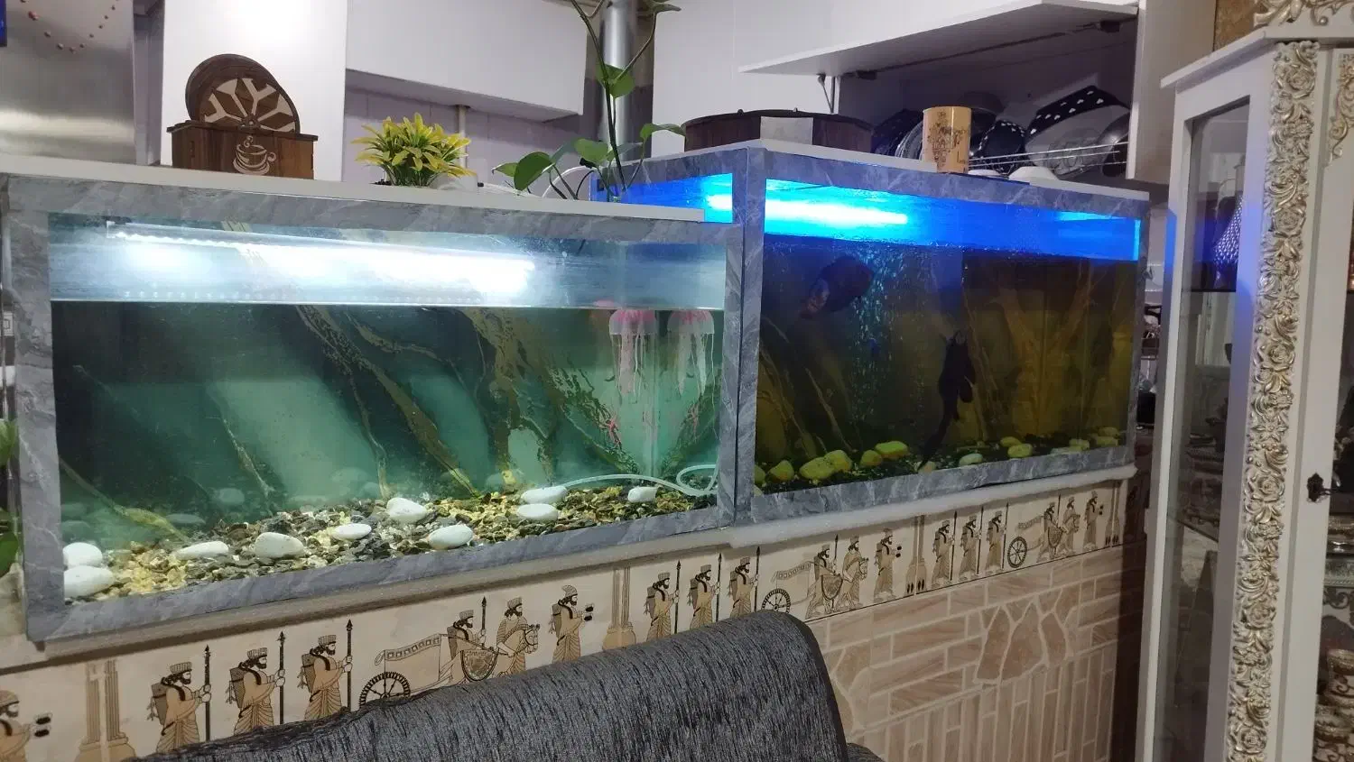 دوعدد آکواریوم معاوضه با طوطی ملنگو|ماهی|کرمان, |دیوار