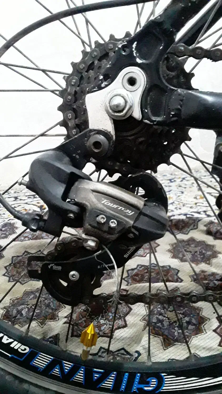 دوچرخه|دوچرخه، اسکیت، اسکوتر|تربت جام, میان جام|دیوار