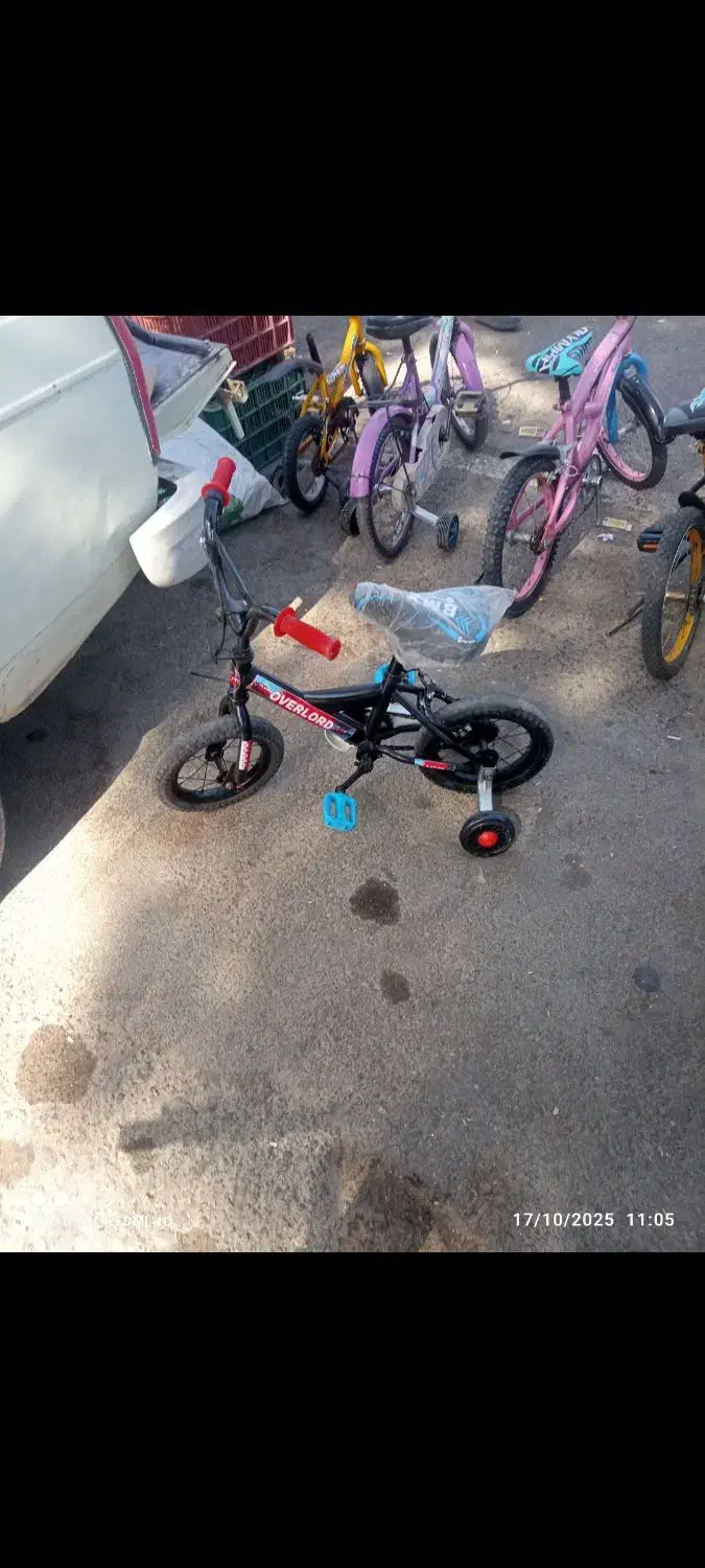 دوچرخه|دوچرخه، اسکیت، اسکوتر|تربتحیدریه, هاشمینژاد|دیوار