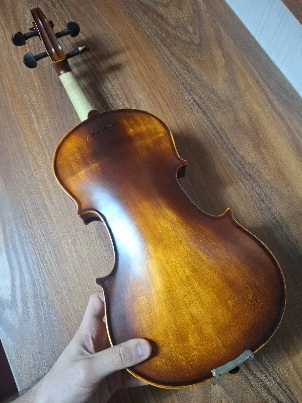 ویولن کریستینا 4/4|ویولن|زنجان, |دیوار