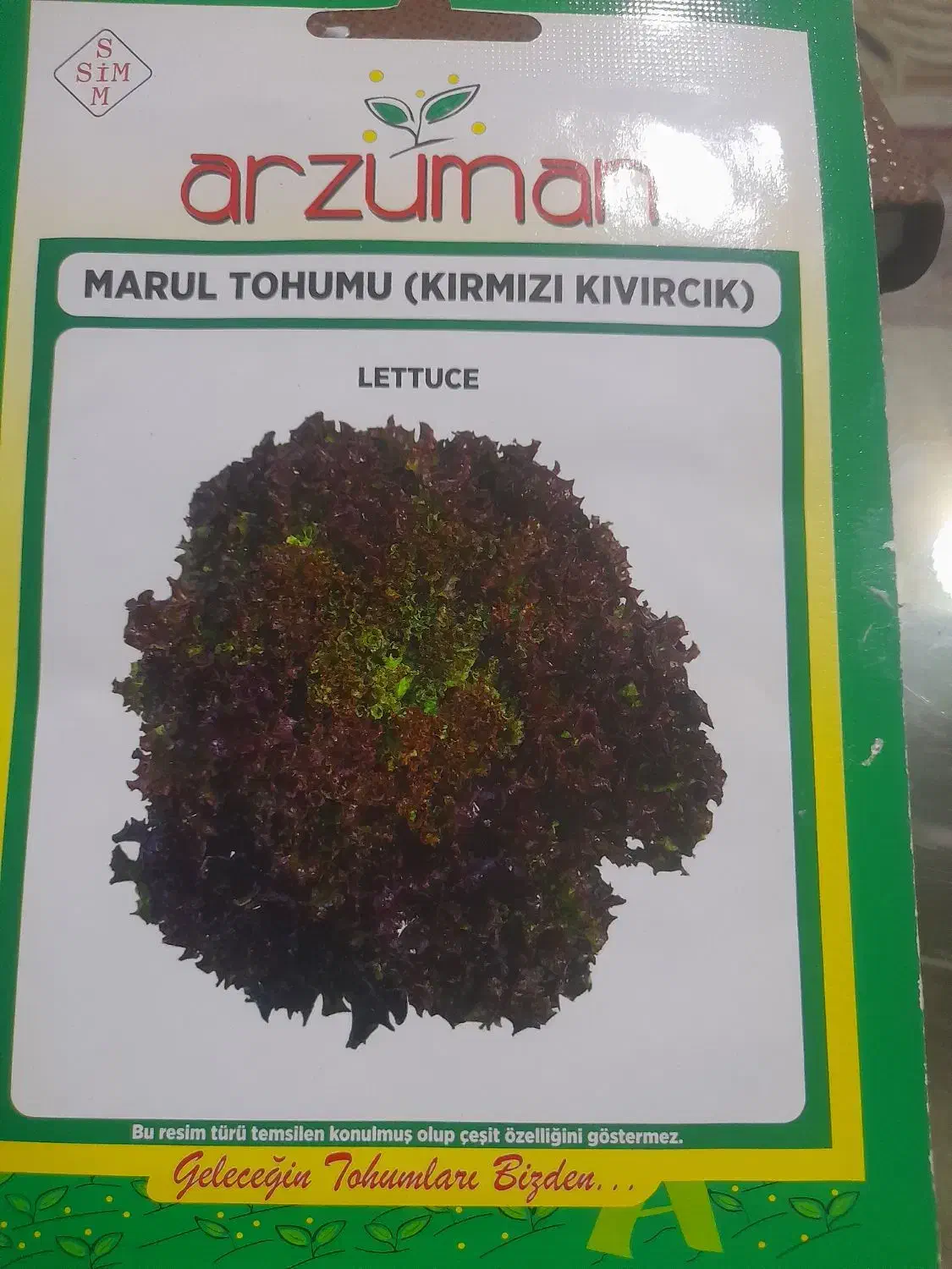 بذر کاهو فرانسوی بسته ۱۰۰۰عددی|گل و گیاه طبیعی|آبیک, |دیوار