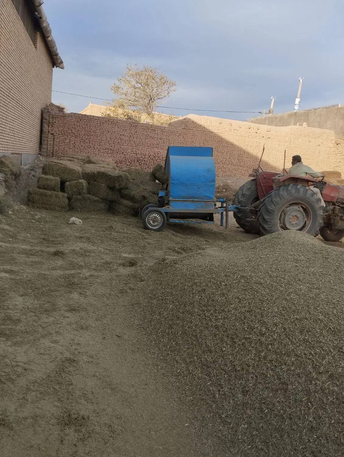 کاه بیده.کاه یونجه درجه یک|خدمات باغبانی و درختکاری|اسحاق آباد, |دیوار