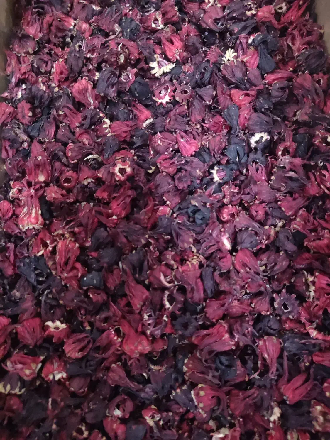 چای ترش خشک امسال (نو)|خوردنی و آشامیدنی|شیراز, میرزاکوچک خان|دیوار