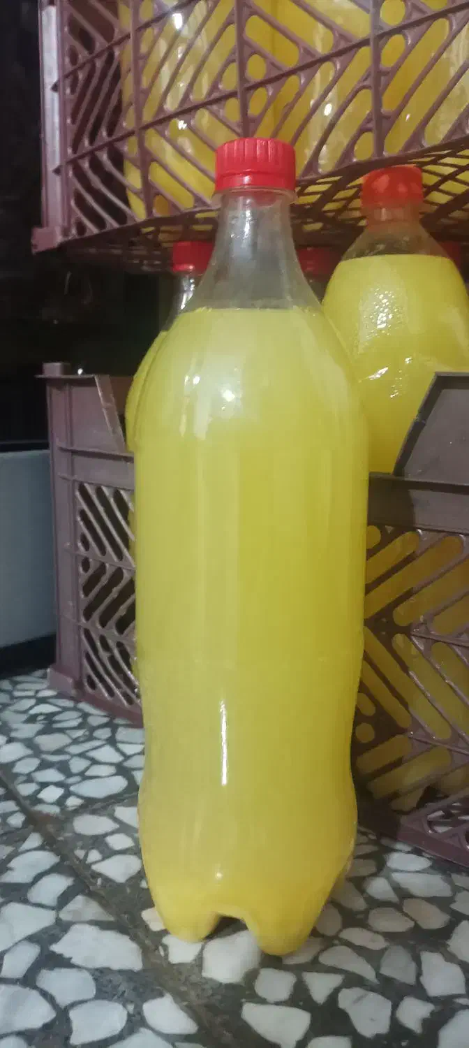 آب نارنج تمیز و عالی|خوردنی و آشامیدنی|لنگرود, |دیوار