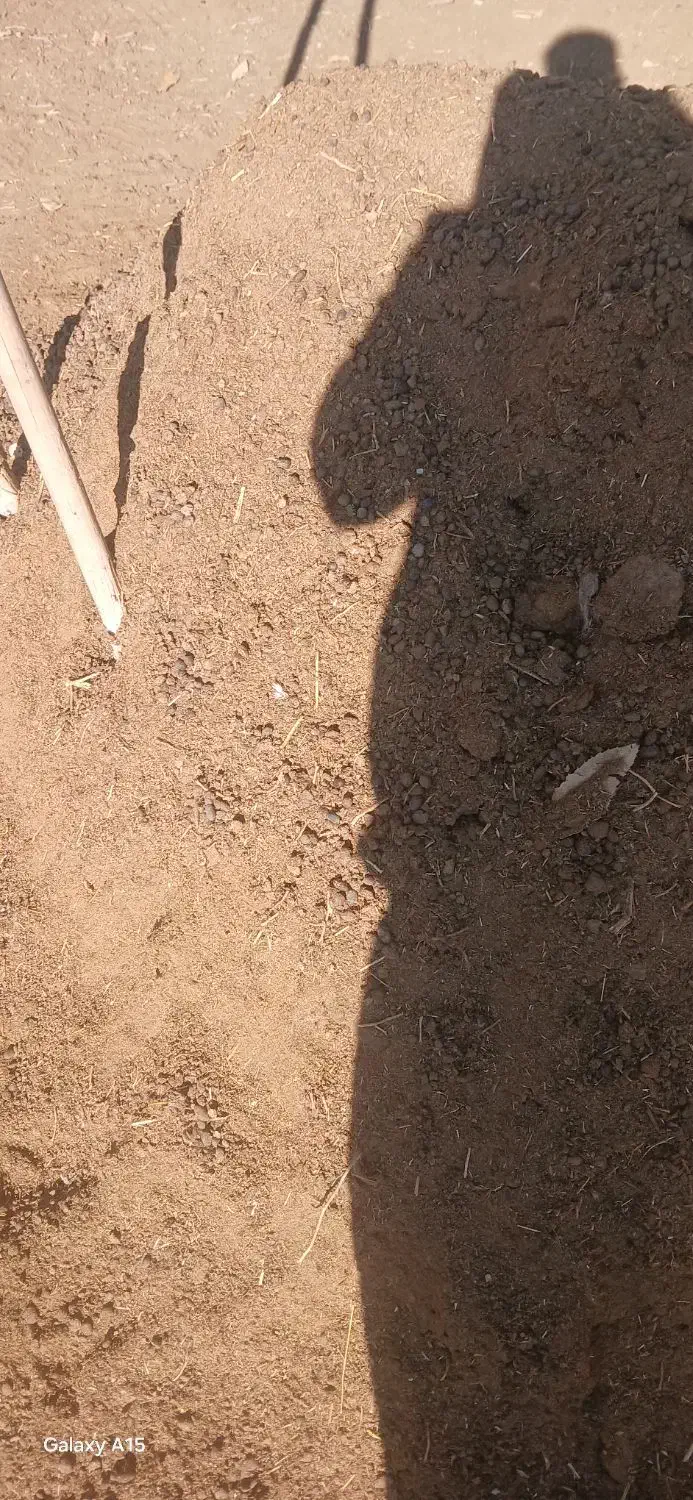 فروش کود حیوانی|خدمات باغبانی و درختکاری|خرمآباد, |دیوار