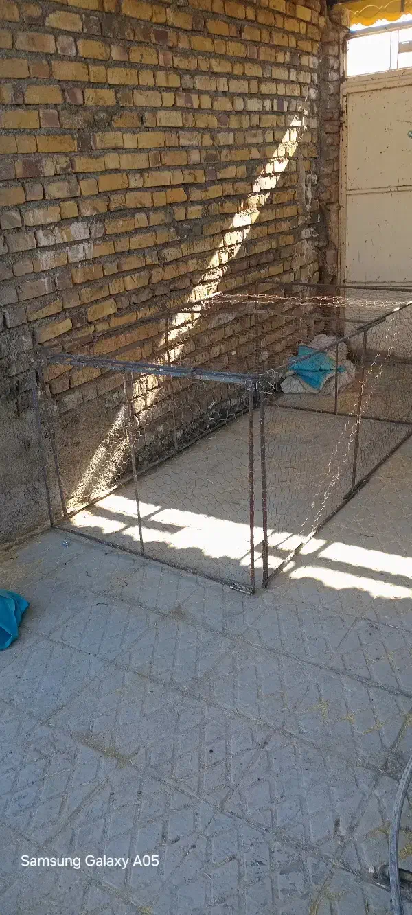 قفسکبوتر|لوازم جانبی حیوانات|کاخک, |دیوار