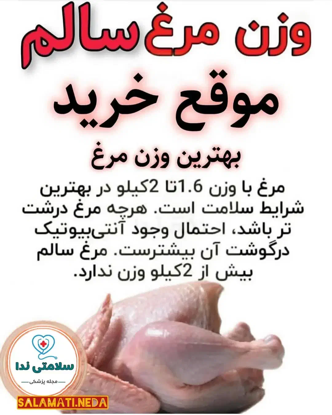 خروس|حیوانات مزرعه|نورآباد, |دیوار