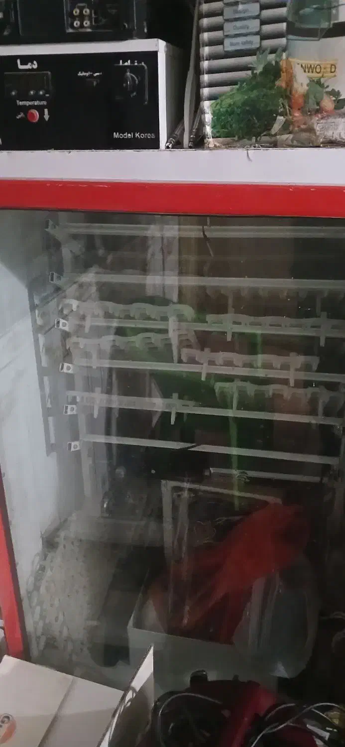 دستگاه جوجه کشی|لوازم جانبی حیوانات|خرمشهر, |دیوار