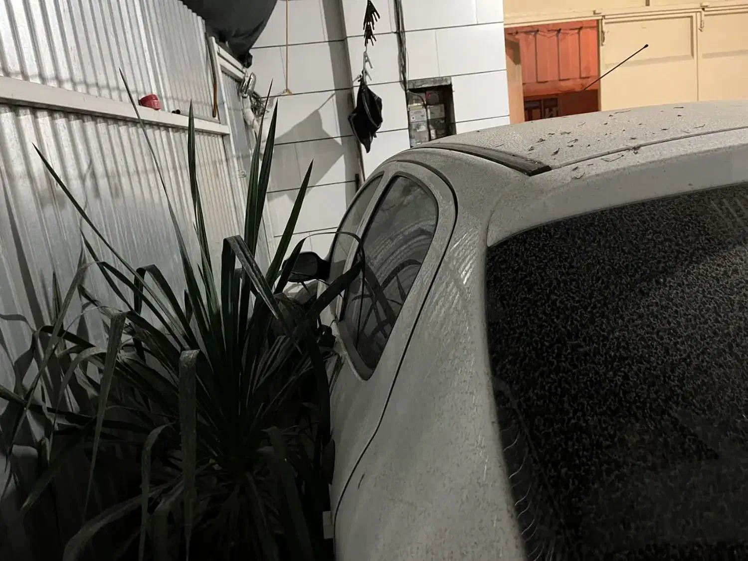 ۲۰۶تیپ۲مدل۹۹|خودرو سواری و وانت|ابریشم, |دیوار