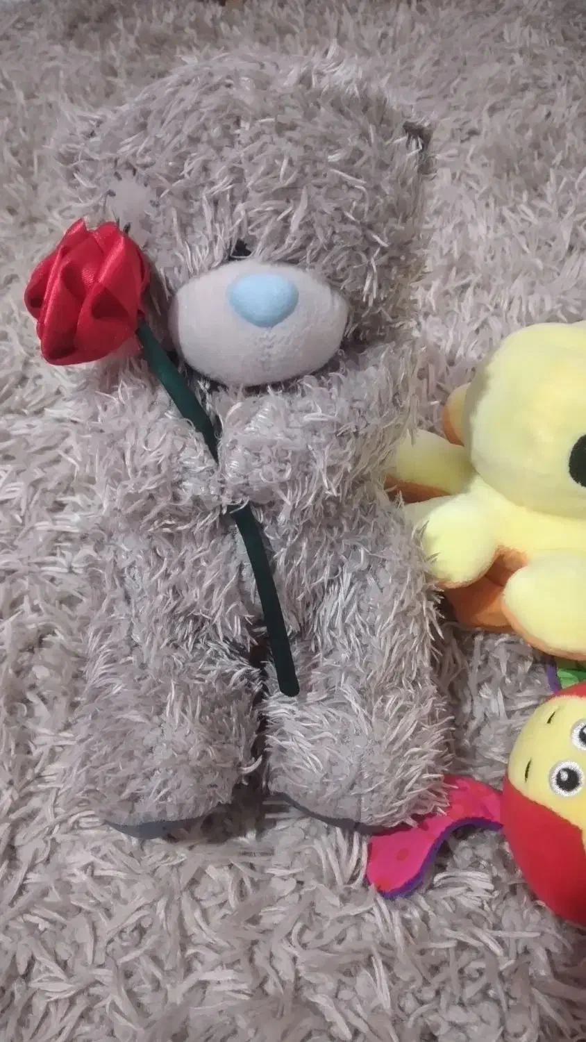 عروسک|اسباببازی بچه|تالش, تالش|دیوار