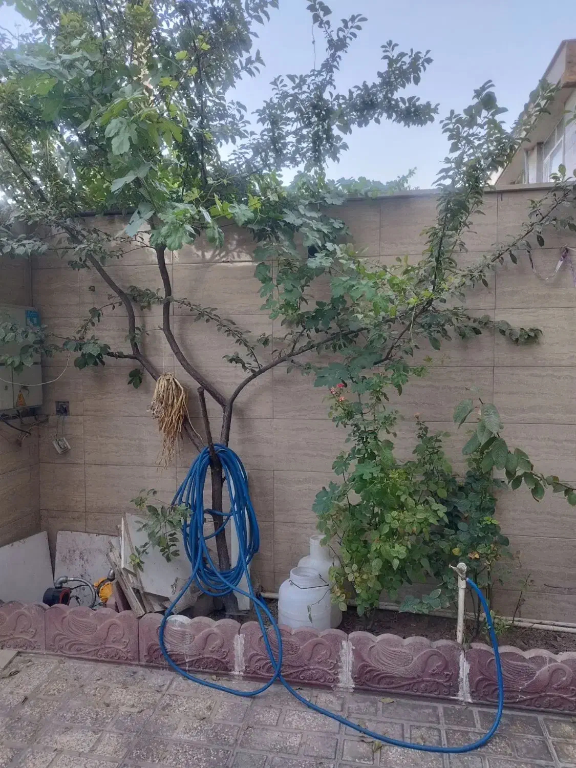 خانه ویلایی در رباط کریم|فروش خانه و ویلا|رباطکریم, منجیل آباد|دیوار