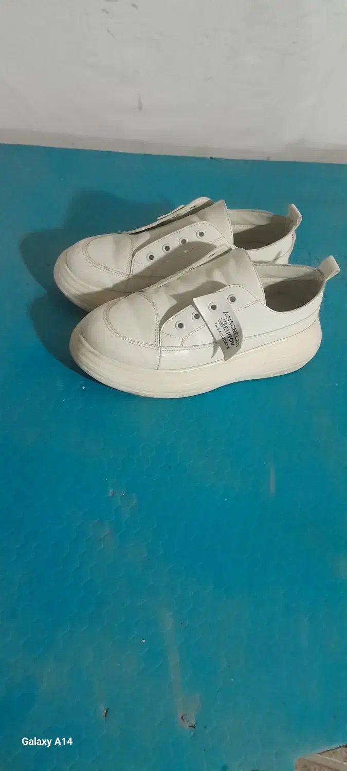 کفش|کیف، کفش، کمربند|مشهد, خرمشهر|دیوار