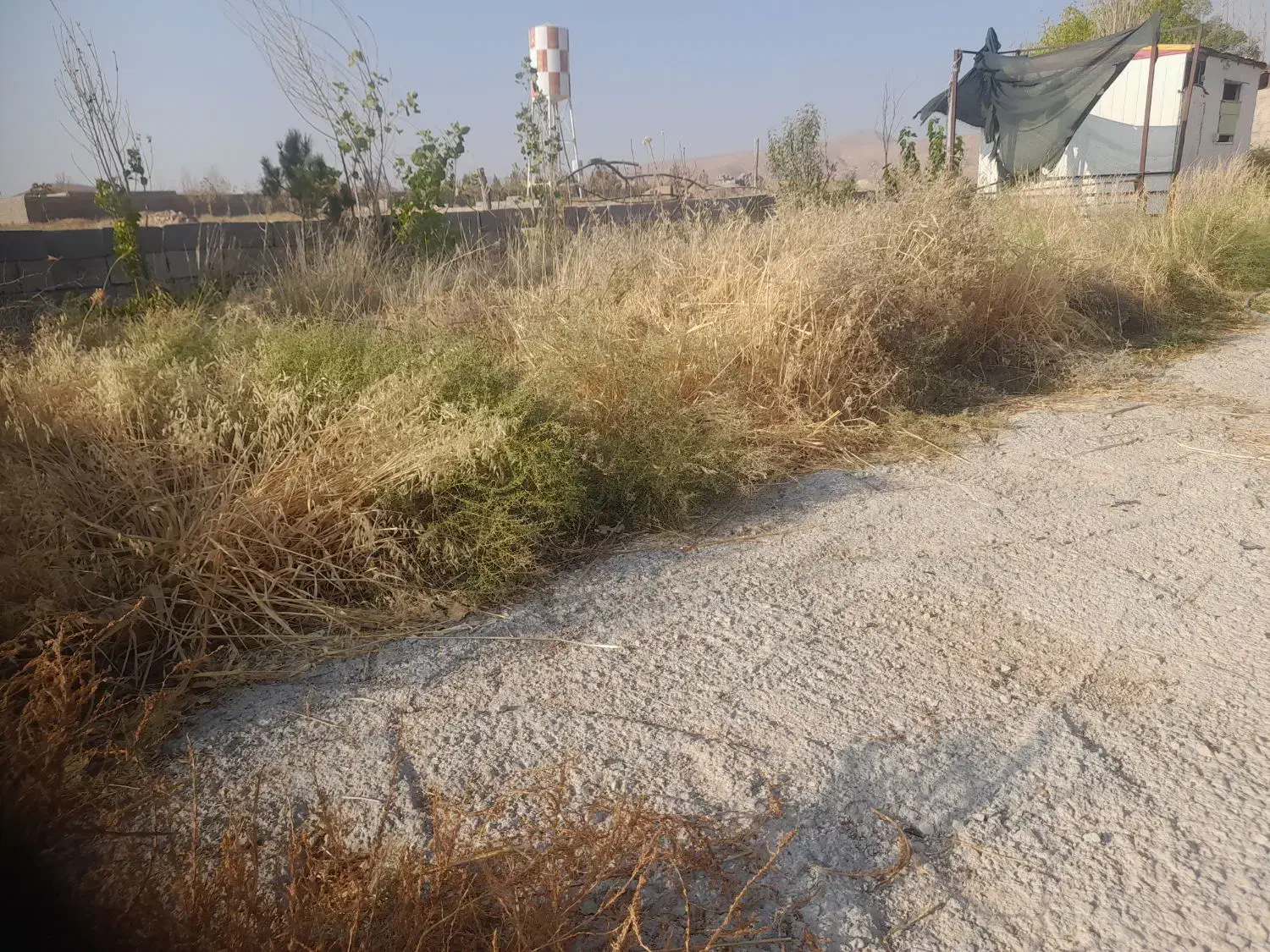 اجاره زمین جاده صدرا|اجارهٔ دفتر صنعتی، کشاورزی، تجاری|شیراز, شهرک قمشه|دیوار