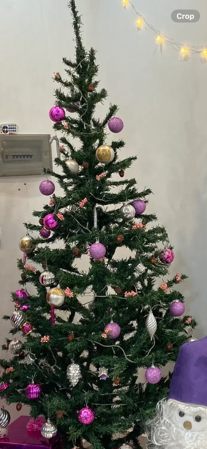 درخت کاج کریسمس ۱۸۰ سانت جنس کاغذی|گل مصنوعی|ارومیه, |دیوار