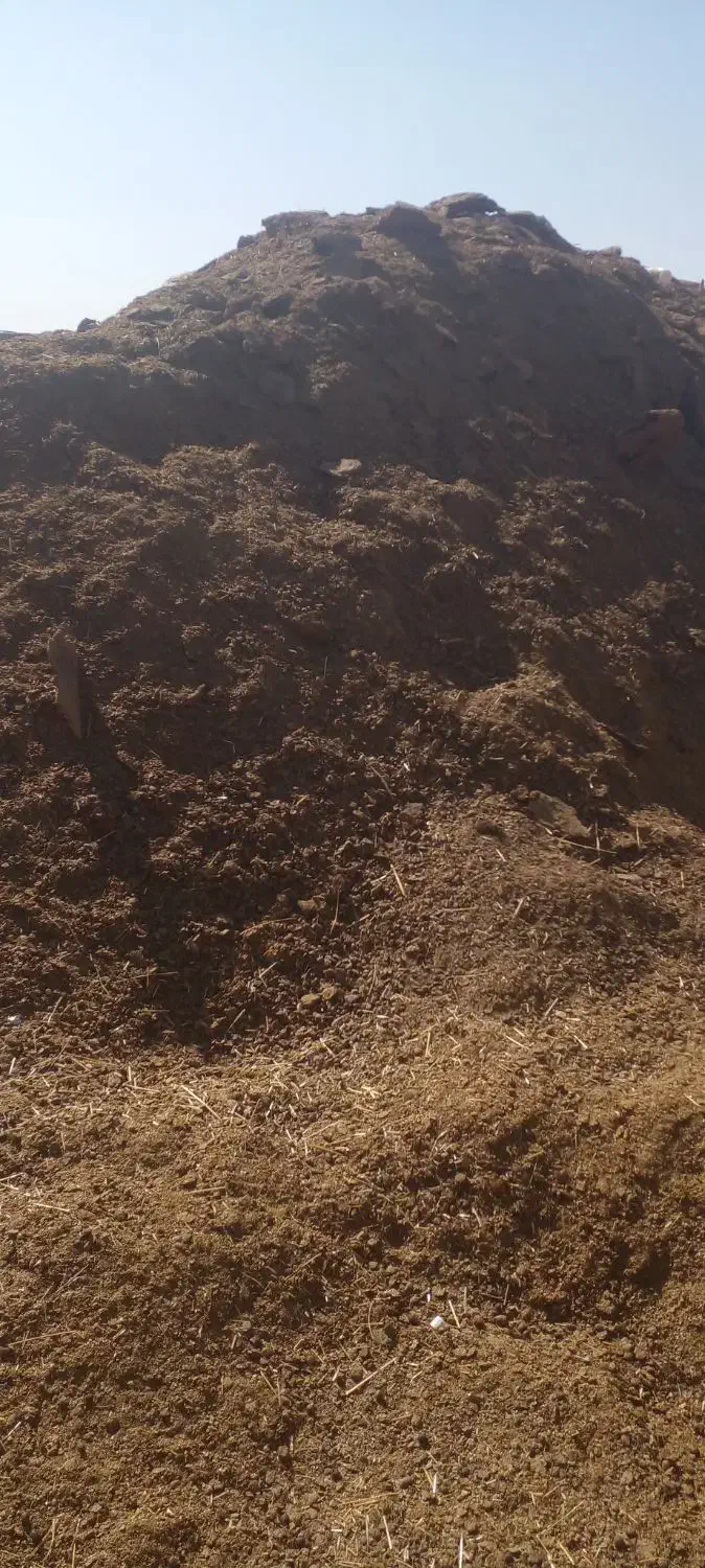 فروش کود گوسفندی|خدمات باغبانی و درختکاری|کمیجان, |دیوار