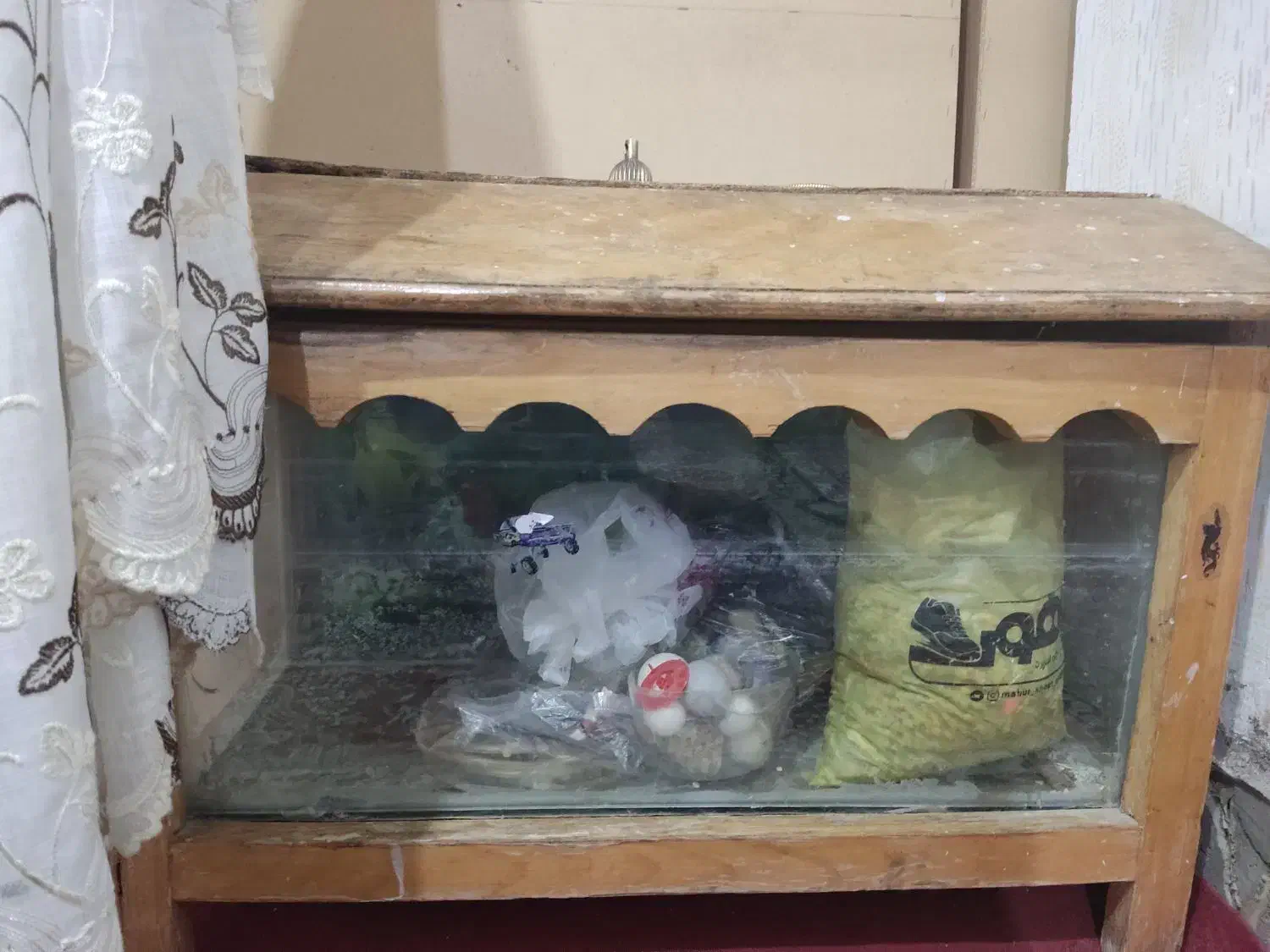 آکواریوم|ماهی|مرودشت, شهرک مهدیه|دیوار