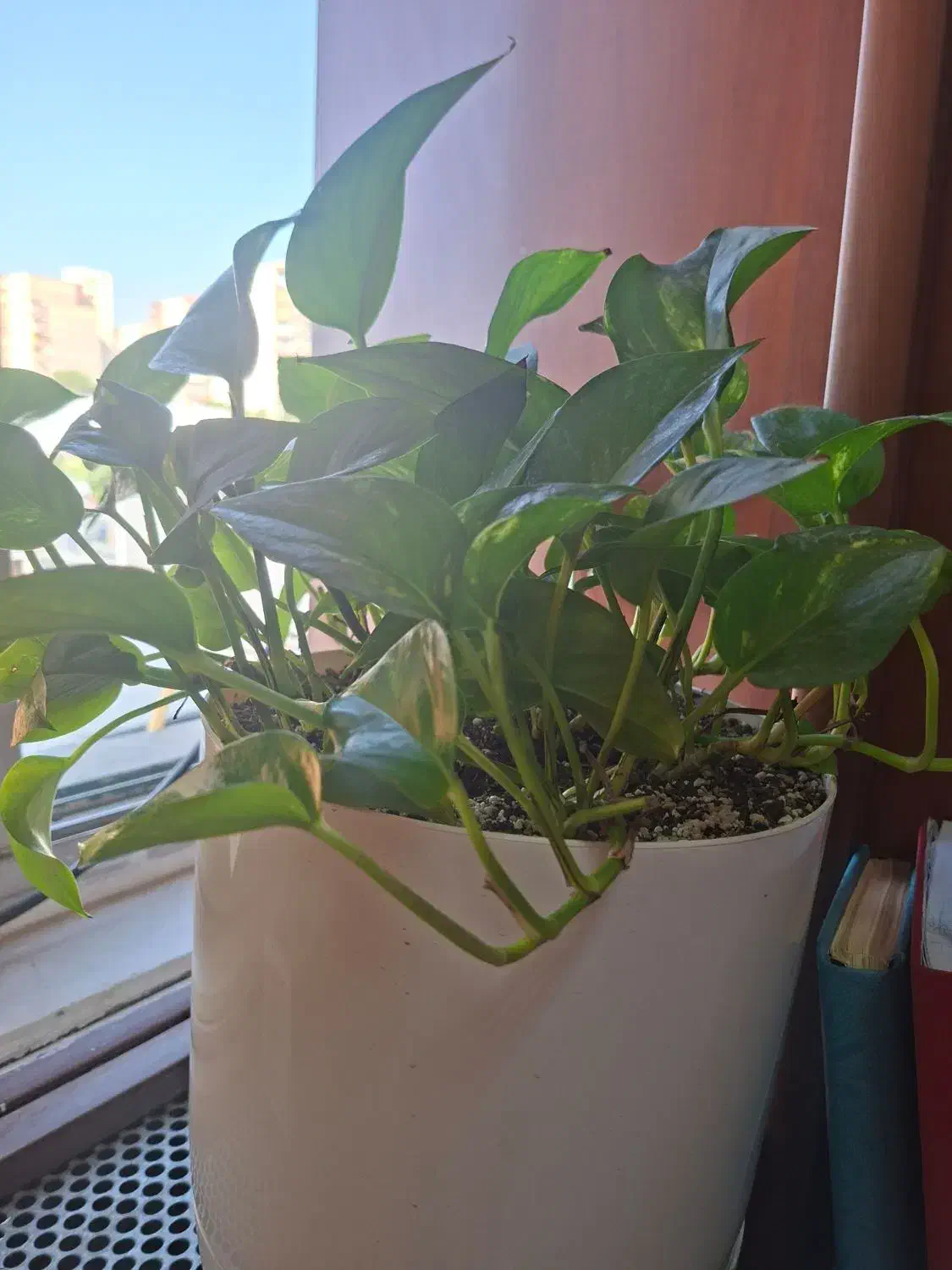 استخدام نیروی بازاریابی و بازرگانی|استخدام بازاریابی و فروش|تهران, ترمینال غرب|دیوار