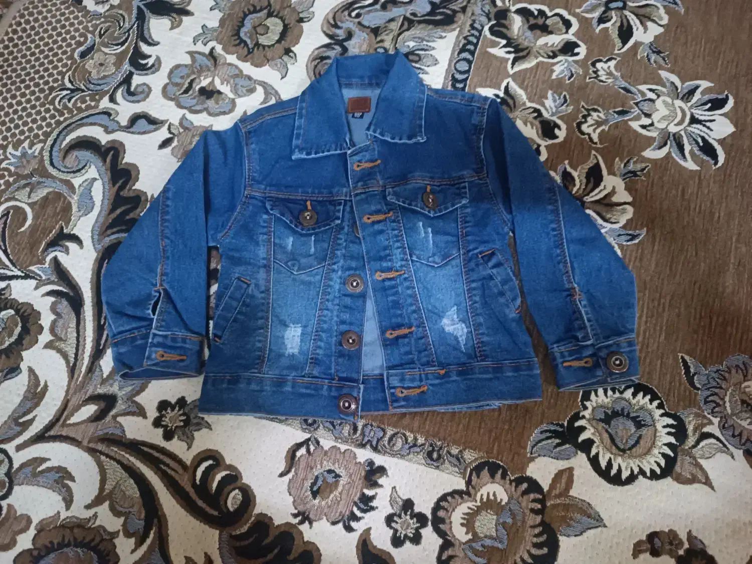 کت لی تک|لباس|تهران, مینابی|دیوار