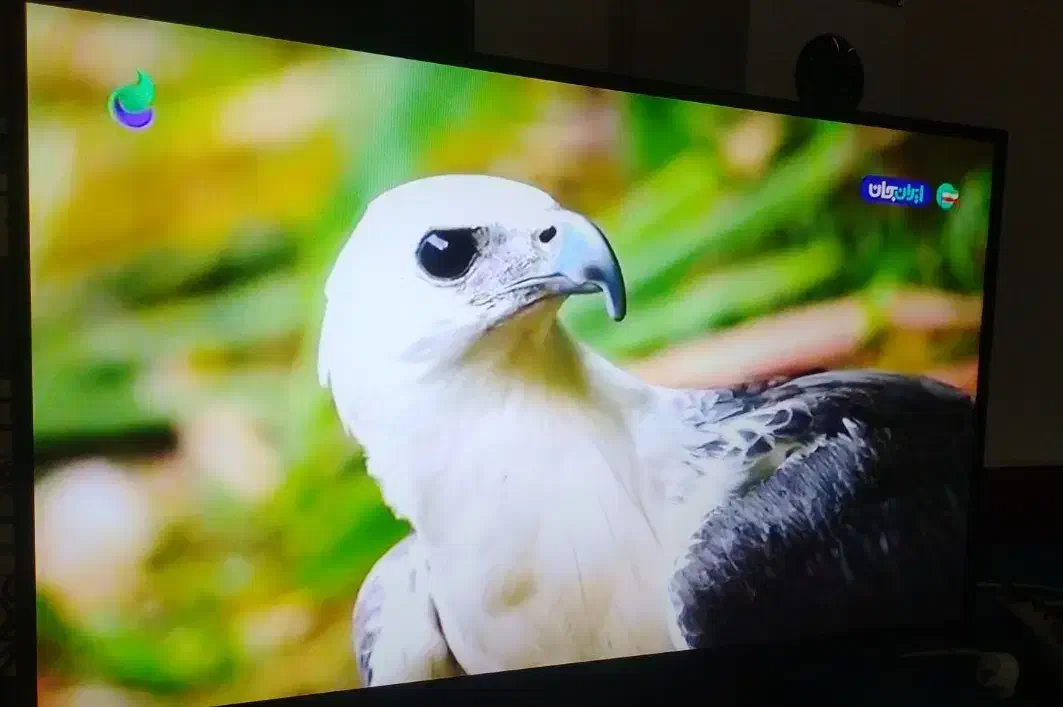 ۴۳اینچ سامسونگ اصل کره|تلویزیون و پروژکتور|کوهدشت, |دیوار