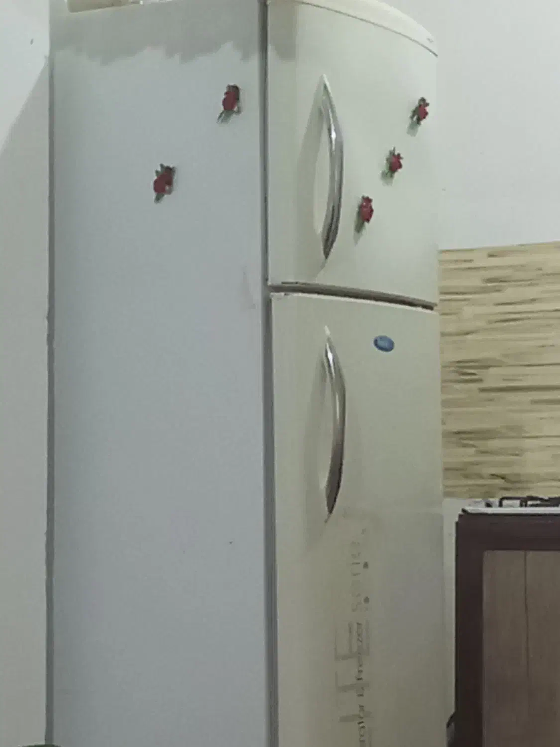 یخچال فریزر سینجر|یخچال و فریزر|کوچصفهان, |دیوار