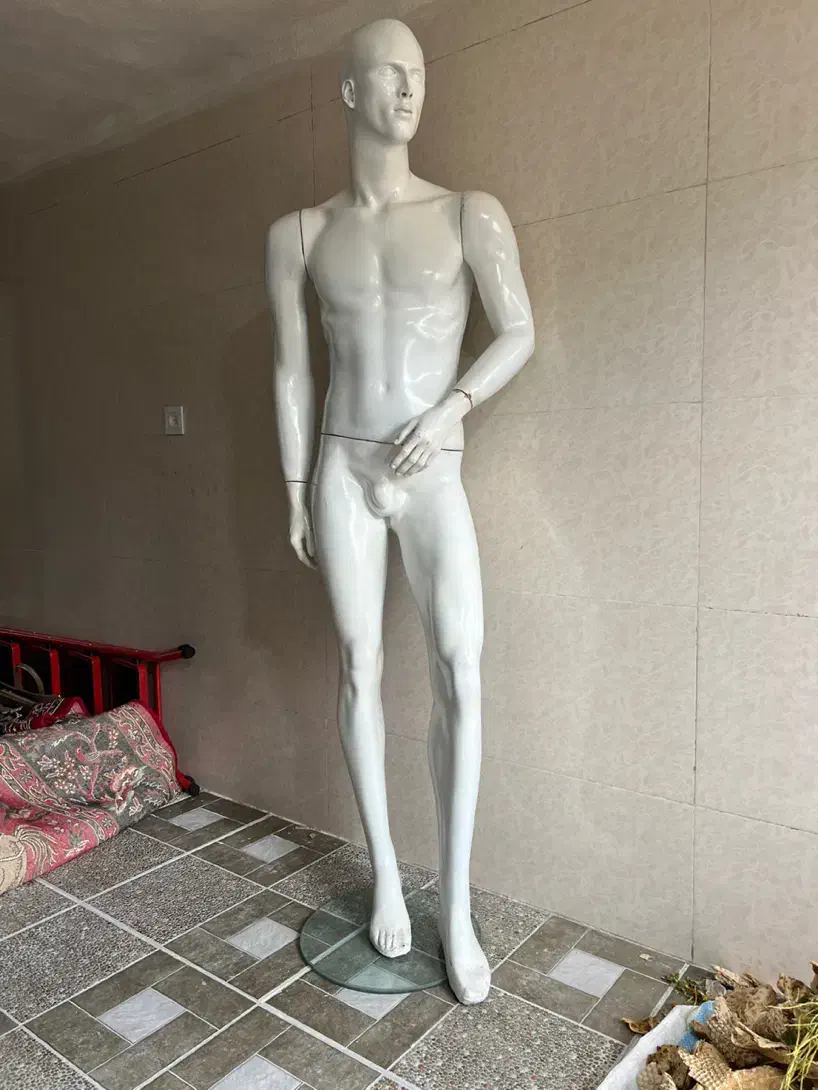 مانکن مردانه|فروشگاه و مغازه|آبدانان, |دیوار