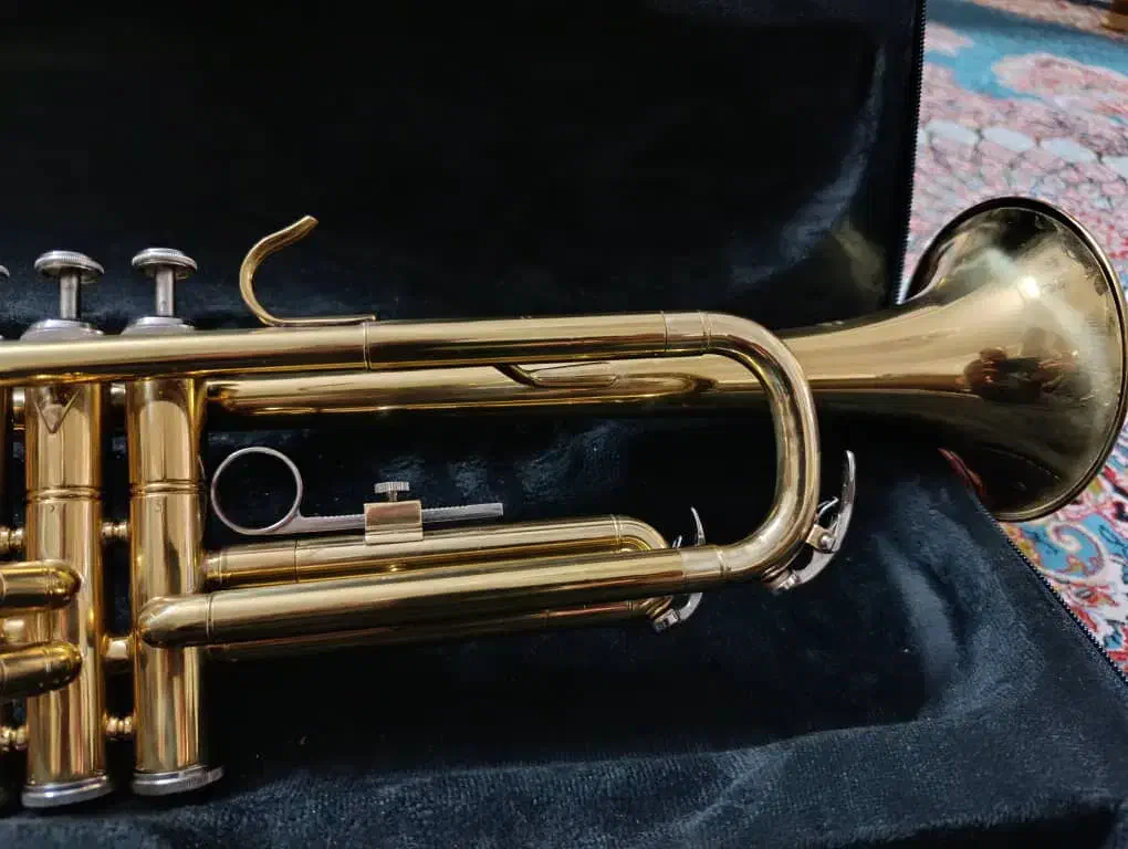 ترومپت شاتو اصل تایوان|سازهای بادی|تبریز, |دیوار