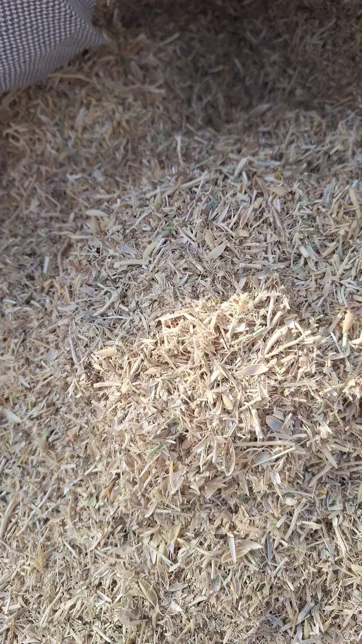 کاه نخود|عمده‌فروشی|سجاس رود, |دیوار