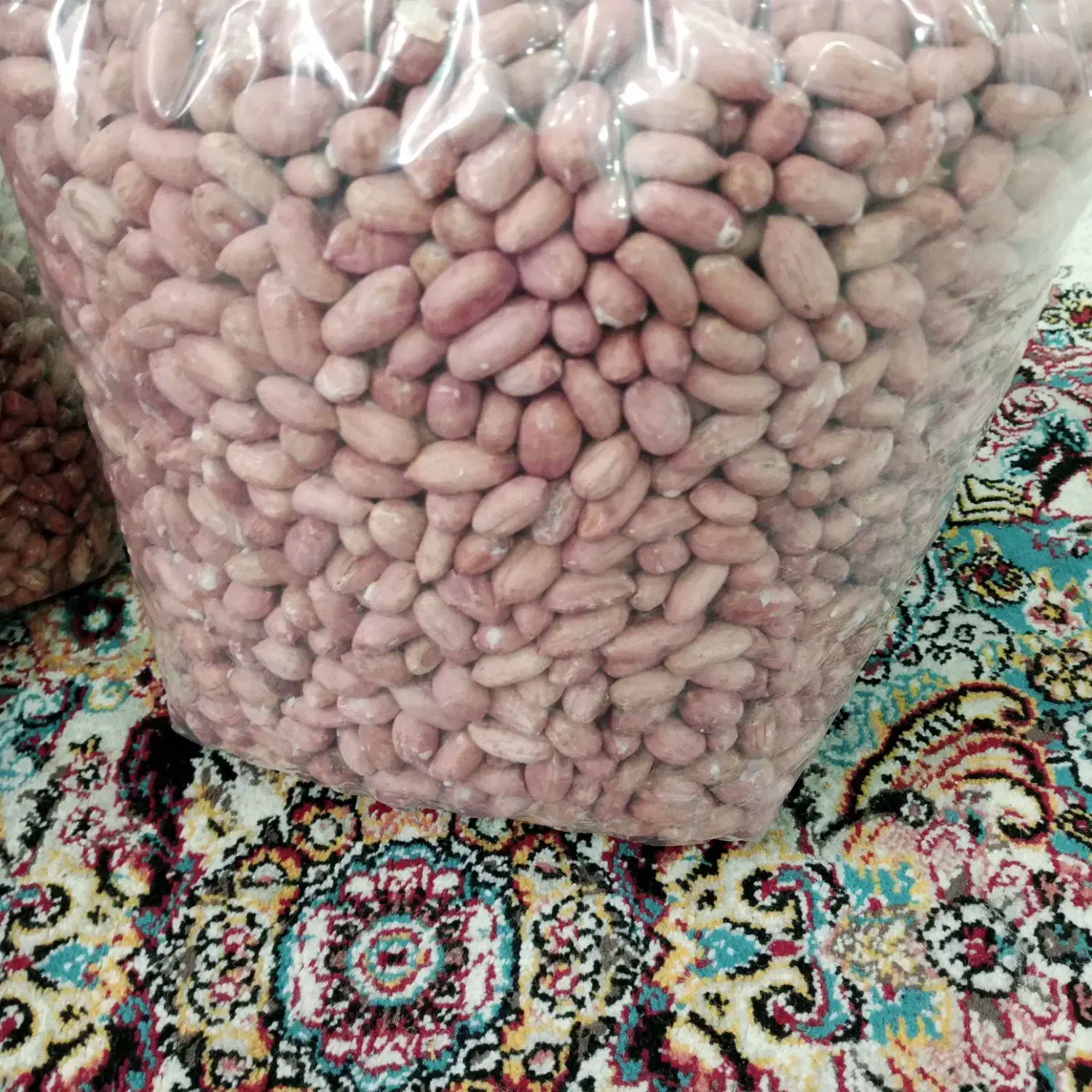 فروش بادام زمینی تازه دوآتشه عالی ۲۰۰|خوردنی و آشامیدنی|رشت, نیروی دریایی|دیوار