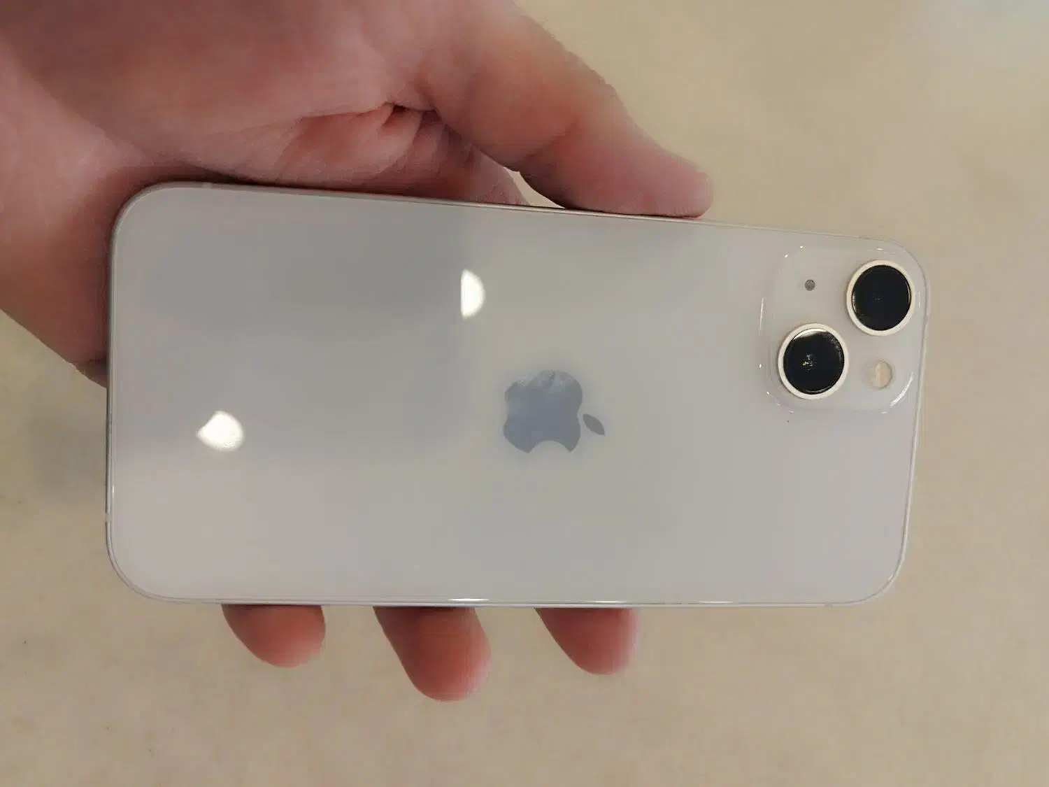 آیفون سیزده نرمال|موبایل|مشهد, فلسطین|دیوار