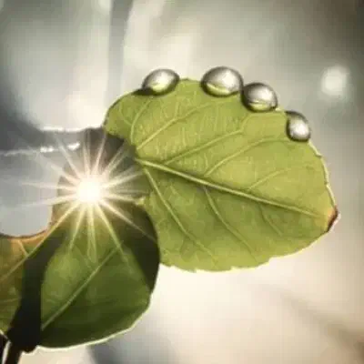 سرکتاب دعای خیر فال|کتاب و مجله مذهبی|بوشهر, |دیوار