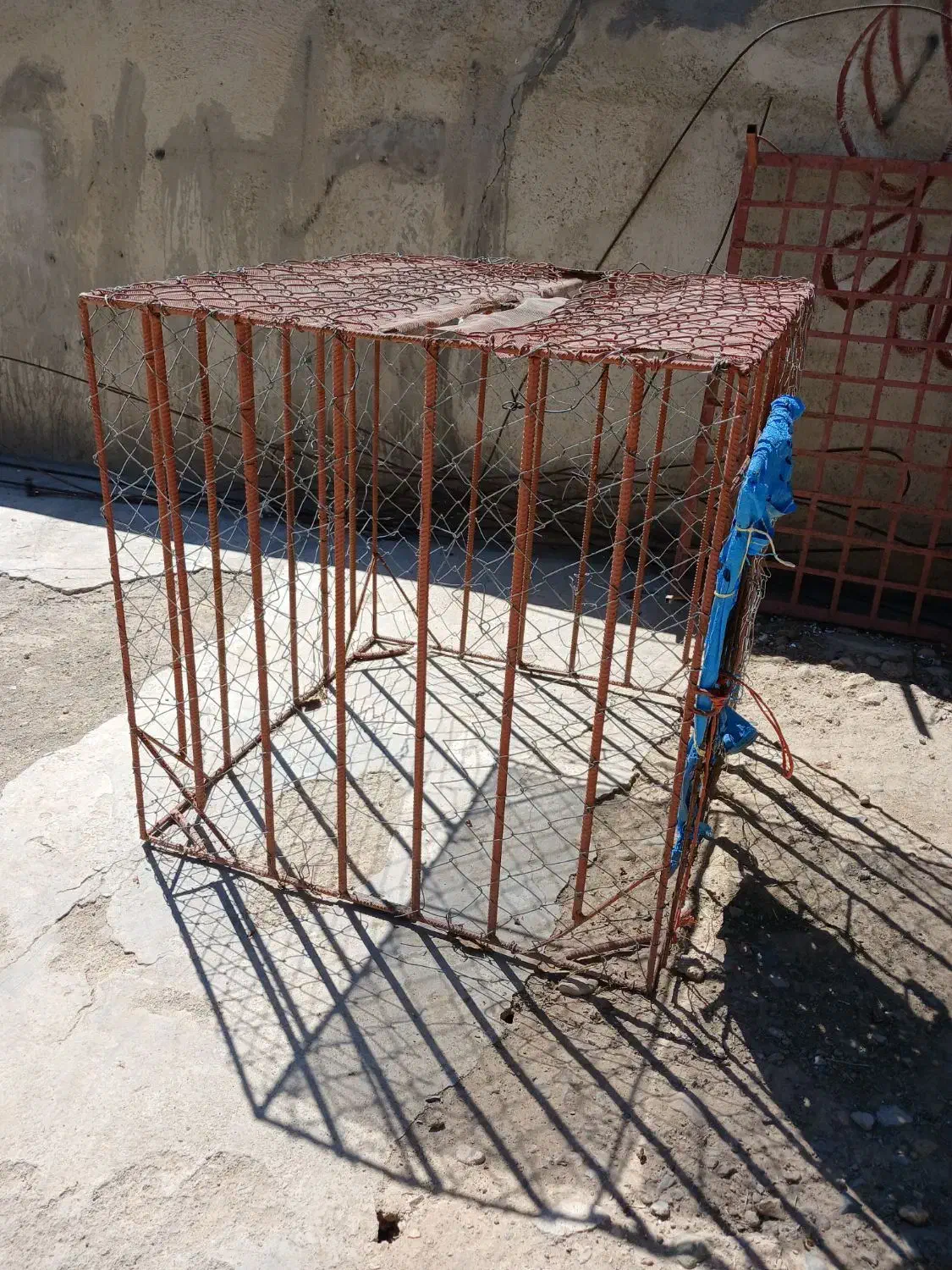 قفس سگ|لوازم جانبی حیوانات|قروه, |دیوار