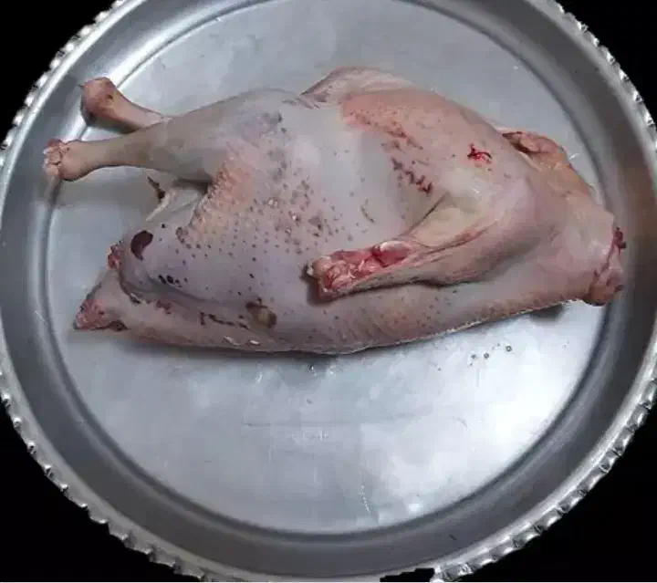 توجه توجه بوقلمون محلی فقط کیلویی280|خوردنی و آشامیدنی|رشت, احمد گوراب|دیوار