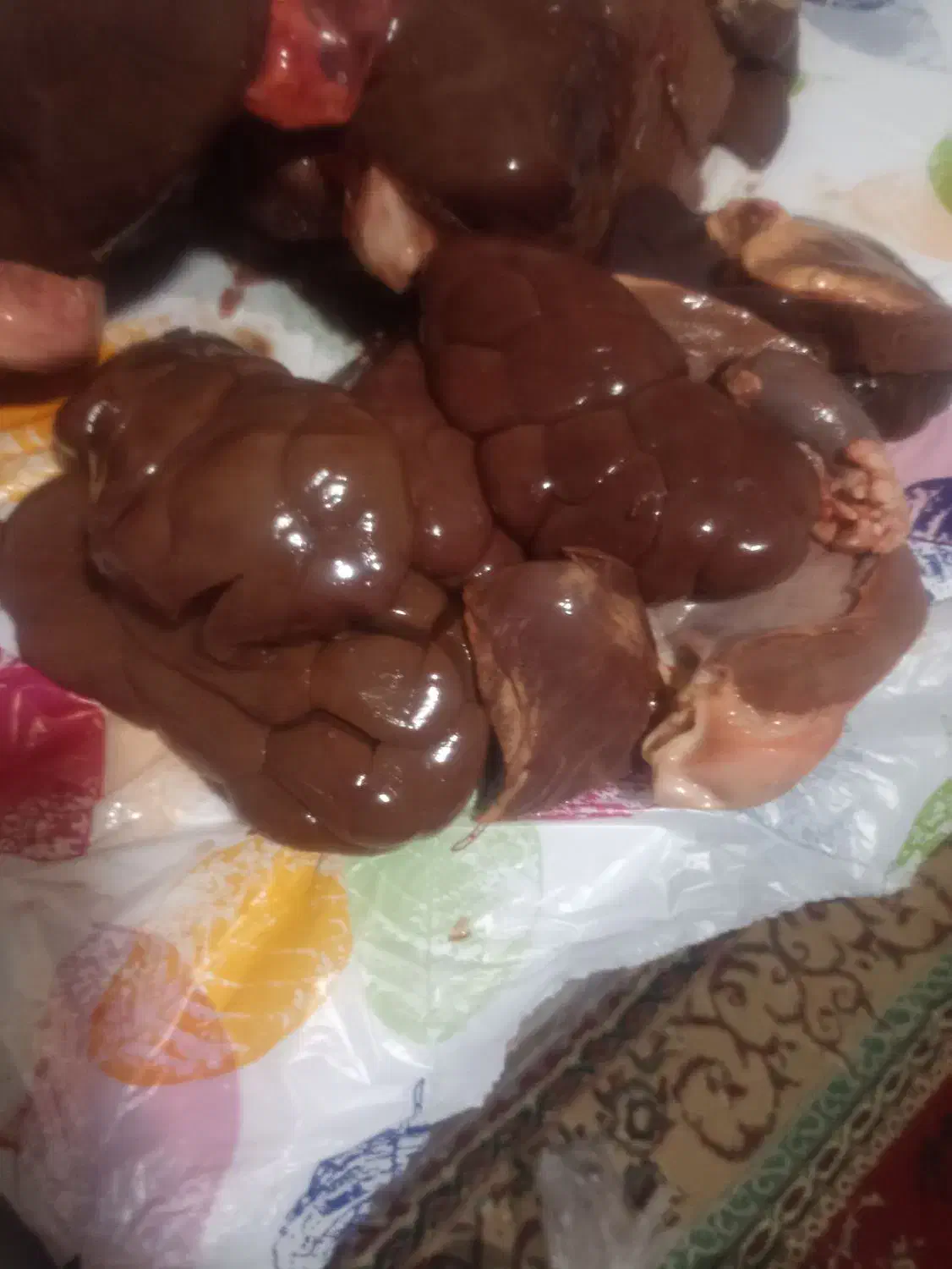 جگر بره ۷۵۰تمن دل وقلوه گوساله کیلو ۸۵۰تمن|خوردنی و آشامیدنی|بندر ماهشهر, |دیوار